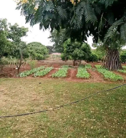 40-by-20-plot-for-sale-in-chalala-big-1