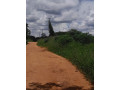 land-for-sale-in-chilanga-small-0