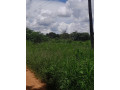 land-for-sale-in-chilanga-small-1