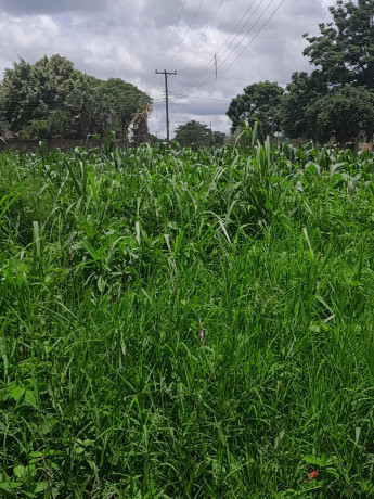 land-for-sale-in-chilanga-big-2
