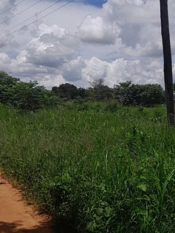 land-for-sale-in-chilanga-big-1