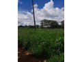 land-for-sale-in-fumbelo-area-small-0