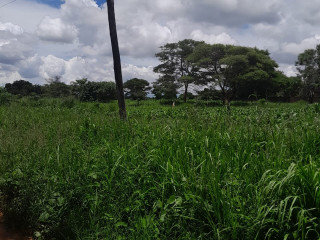land-for-sale-in-fumbelo-area