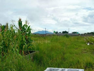 land-for-sale-in-silverest