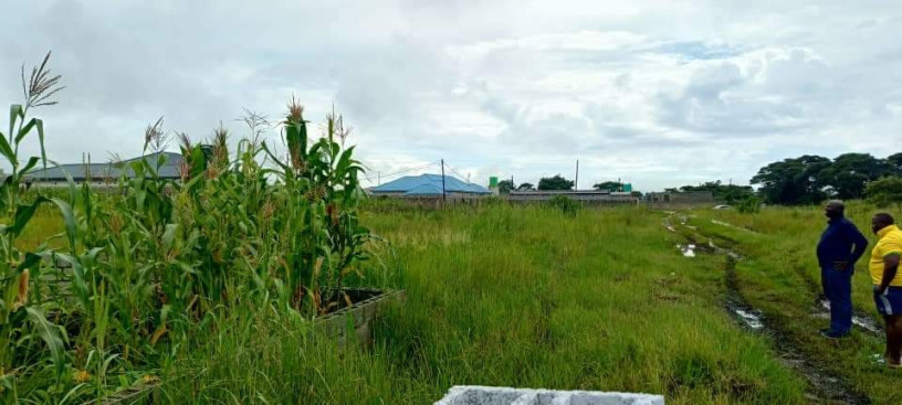 land-for-sale-in-silverest-big-0
