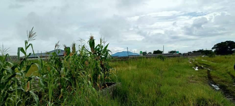 land-for-sale-in-silverest-big-1