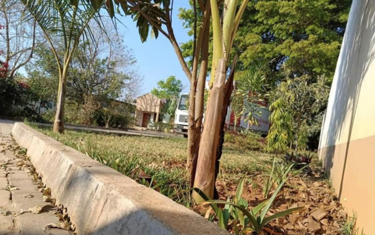 4-bedroom-flats-for-sale-in-ibex-hill-big-4