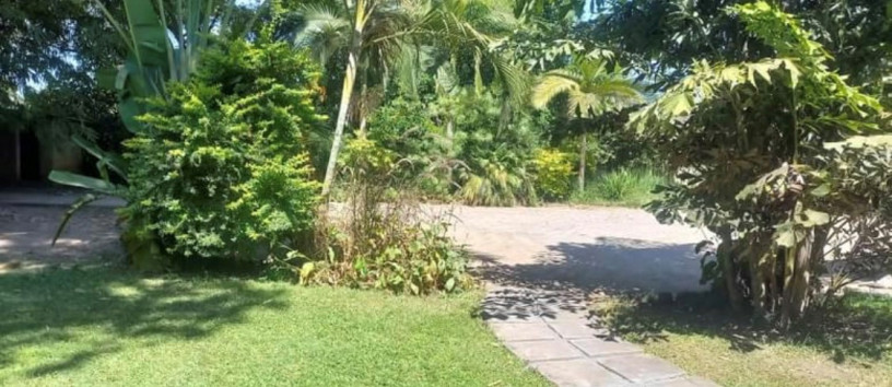 4-bedroom-house-for-sale-in-northrise-big-7