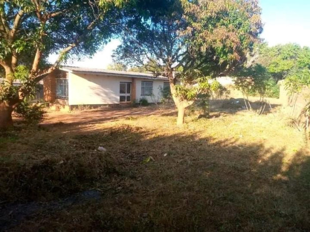 3-bedroom-house-for-sale-in-avondale-big-4