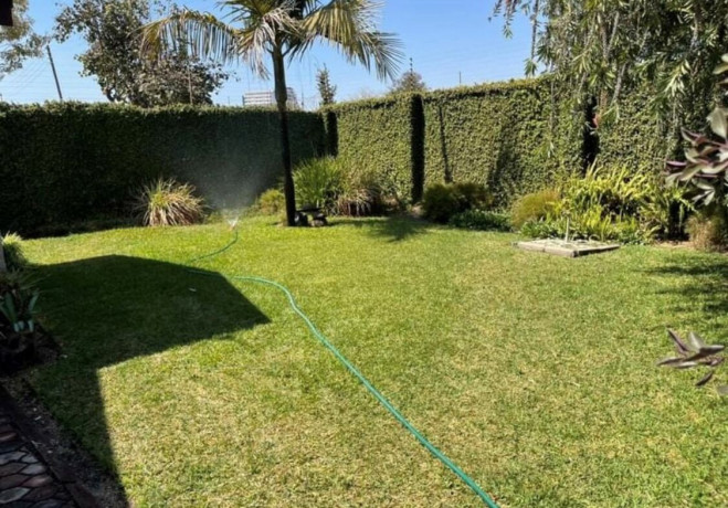 1-bedroom-apartment-for-rent-in-olympia-big-3