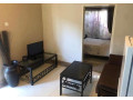 1-bedroom-apartment-for-rent-in-chudleigh-small-5