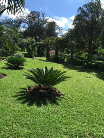 4-bedroom-stand-alone-for-sale-in-kabulonga-big-1