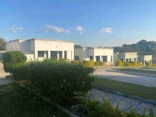 1-bedroom-flats-for-rent-in-roma