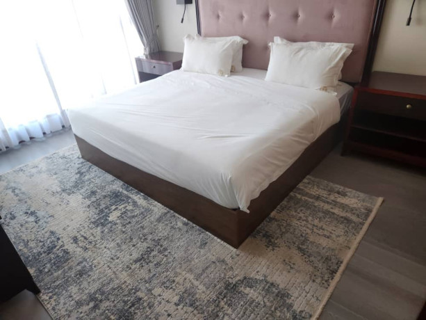 2-bedroom-apartment-for-rent-in-roma-big-5