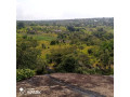 4942-farm-land-for-sale-in-chingola-small-1