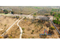 5-acre-lot-for-sale-in-bonanza-golf-estate-small-2