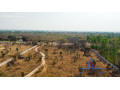 5-acre-lot-for-sale-in-bonanza-golf-estate-small-3