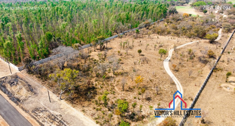 5-acre-lot-for-sale-in-bonanza-golf-estate-big-0