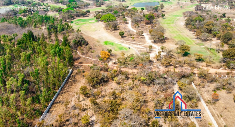 5-acre-lot-for-sale-in-bonanza-golf-estate-big-1