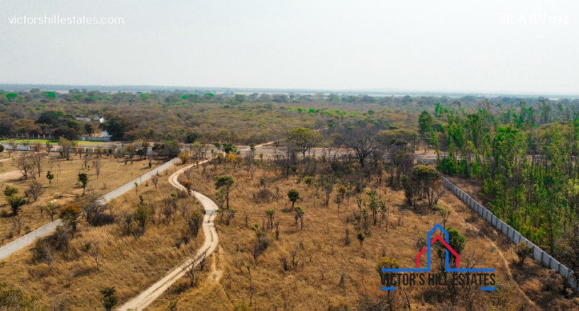 5-acre-lot-for-sale-in-bonanza-golf-estate-big-3