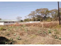 plot-for-sale-in-ngwerere-small-0