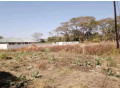 plot-for-sale-in-ngwerere-small-1
