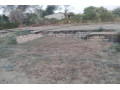 plot-for-sale-in-chongwe-small-1