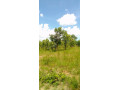 1-acre-land-for-sale-in-new-kasama-small-1