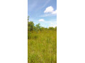 1-acre-land-for-sale-in-new-kasama-small-0