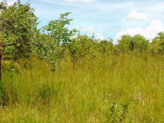 1-acre-land-for-sale-in-new-kasama
