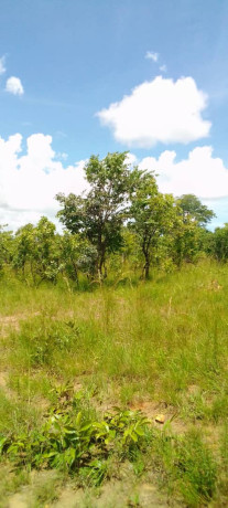 1-acre-land-for-sale-in-new-kasama-big-1
