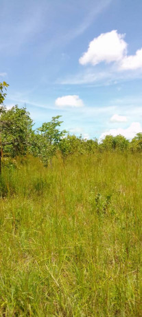 1-acre-land-for-sale-in-new-kasama-big-0