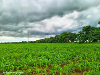 kingsland-plot-for-sale