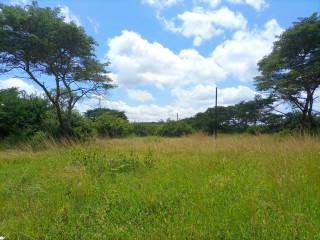 prime-location-in-new-kasama