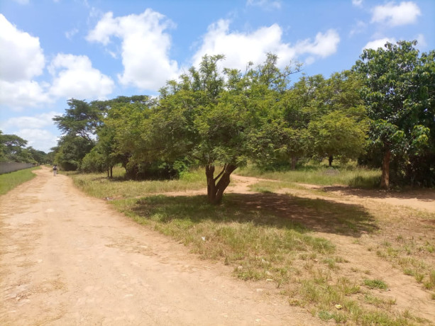 prime-location-in-new-kasama-big-1