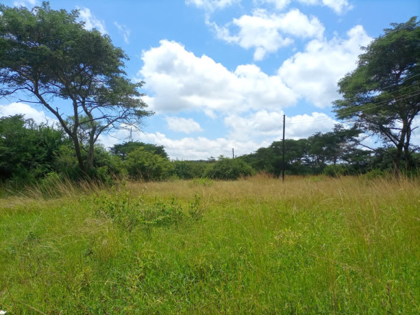 prime-location-in-new-kasama-big-0