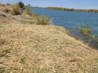 20000-hectares-of-kafue-riverfront-for-sale