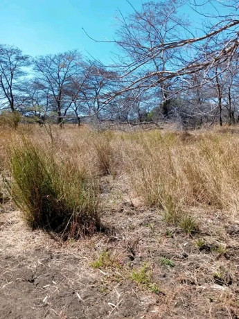 20000-hectares-of-kafue-riverfront-for-sale-big-1