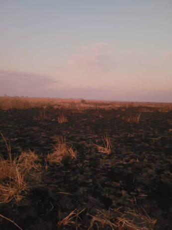 20000-hectares-of-kafue-riverfront-for-sale-big-6