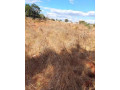 50m-by-100m-plot-for-sale-in-ibex-main-small-3