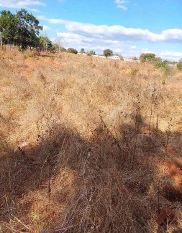 50m-by-100m-plot-for-sale-in-ibex-main-big-3