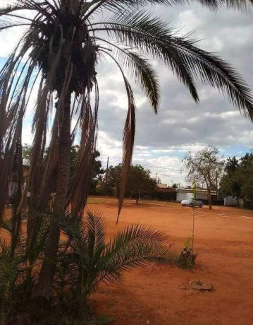 50m-by-100m-plot-for-sale-in-ibex-main-big-4