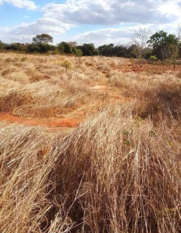 50m-by-100m-plot-for-sale-in-ibex-main-big-7