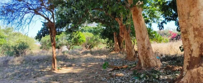 5-acre-plot-for-sale-in-ibex-meanwood-big-2