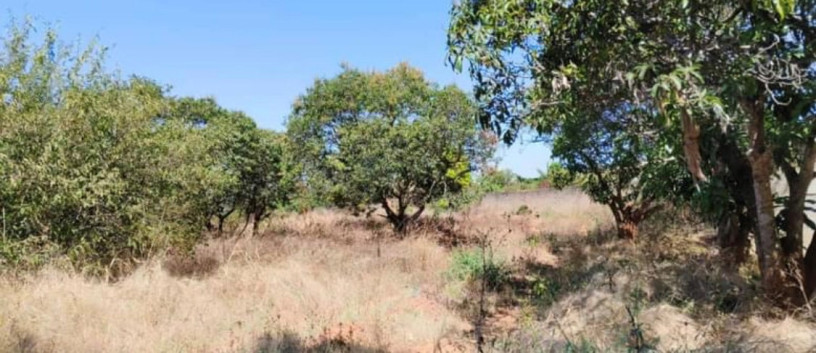 5-acre-plot-for-sale-in-ibex-meanwood-big-0