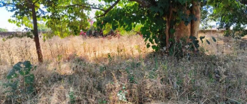 5-acre-plot-for-sale-in-ibex-meanwood-big-1