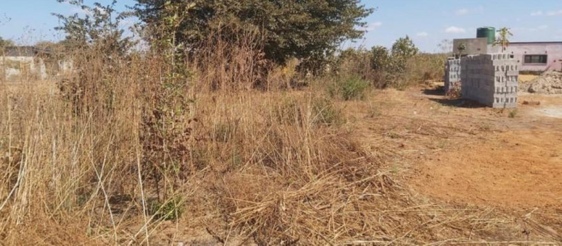 plot-for-sale-in-6-miles-big-2