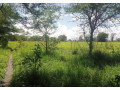 10-acre-plot-for-sale-in-mikango-barracks-small-1