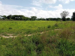 10-acre-plot-for-sale-in-mikango-barracks
