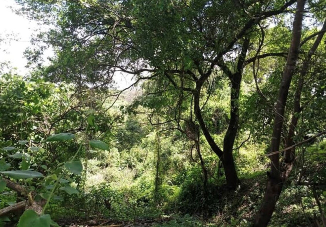 10-acre-plot-for-sale-in-mikango-barracks-big-2